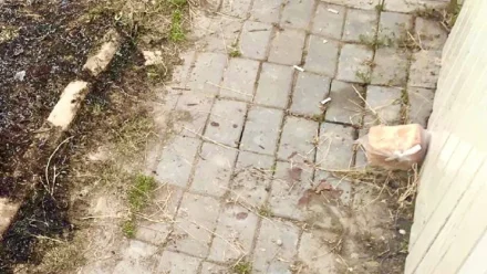 В Астрахани мужчина сжёг мужа своей сестры из-за наследства