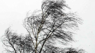 В Астраханской области завтра ожидается сильный ветер