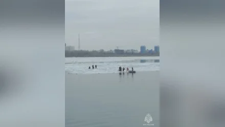 ЧП на Волге: в Астрахани на дрейфующей по реке льдине оказались люди