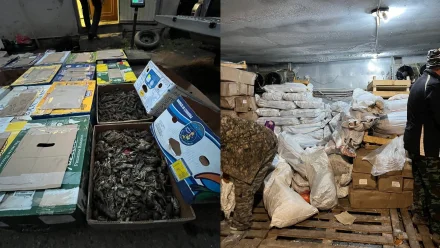 Под Астраханью полицейские изъяли почти полтонны раков