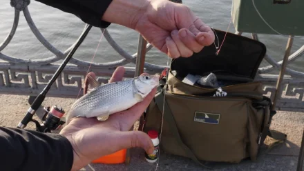 Участники фестиваля "Вобла 2022" соревновались в личном зачёте