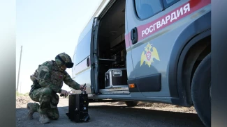 Около 10 тыс. взрывоопасных предметов обнаружили росгвардейцы за прошедший год