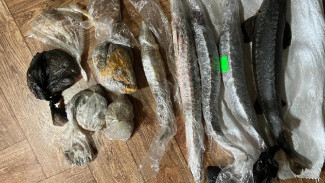 Астраханец продал полицейскому 1 кг чёрной икры за 45 тысяч рублей