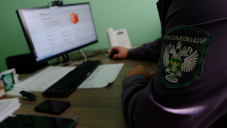 В Астраханской области «супермясо» преодолело около 80 км за 2 минуты