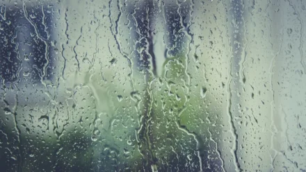 В Астрахани ожидается дождь 