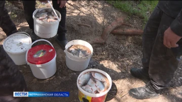 О каких правилах стоит помнить астраханским рыбакам в мае