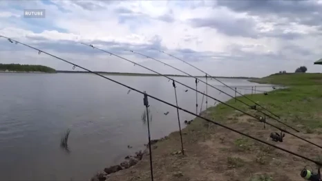 Где сейчас в Астраханской области ловить сома