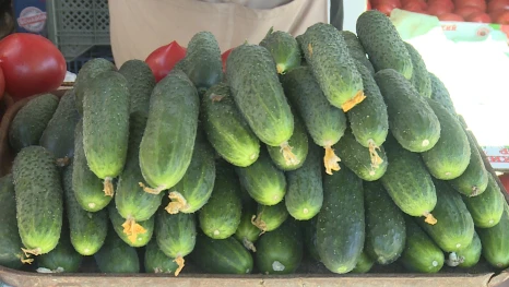 В Астраханскую область привезли более 83 тонн овощей из Узбекистана