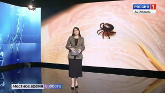 В Астраханской области клещи активизировались раньше обычного