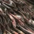 На юге Астрахани 18-летний парень незаконно перевозил 4 мешка с рыбой частиковых пород