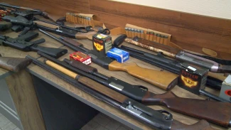 Астраханцы могут подать заявку на передачу ружей для нужд СВО в онлайне