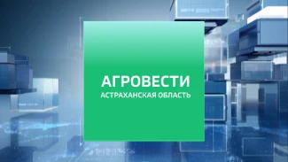 Об основных задачах агрокомплекса Астраханской области на 2026 год. Эфир от 25.02.2026