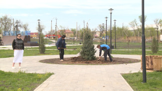 В Астрахани прошел субботник с участием депутатов городской Думы