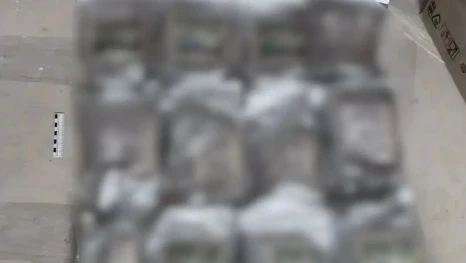 Более 50 кг сильнодействующих веществ изъяли наркополицейские в Астрахани