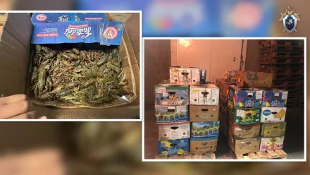 Астраханца подозревают в приобретении для перепродажи раков почти на 2 млн рублей