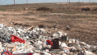 В Наримановском районе больше года не убирают свалку на землях сельхозназначения 