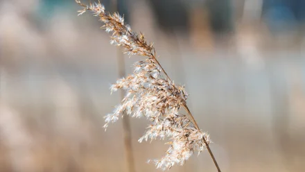 В Астрахани в понедельник прогнозируется потепление 