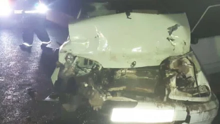 На дороге «Астрахань-Махачкала» в ДТП погиб водитель