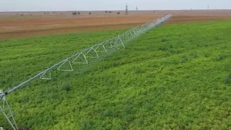 В Астраханской области фермеры собрали 2 млн тонн овощей