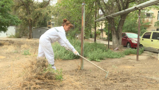 Астраханцы провели субботник в канун Дня города