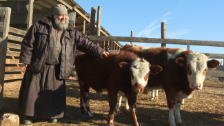 Для возрождения Чуркинского монастыря под Астраханью сформировали ферму