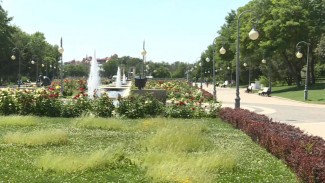 Жители Астраханской области рассказали, как справляются с сильной жарой