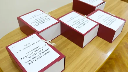 В Астрахани губернатор внёс в Облдуму законопроект о трёхлетнем бюджете