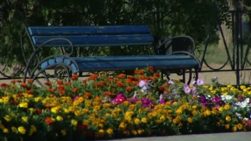 Более 350 идей для благоустройства населенных пунктов предложили астраханцы