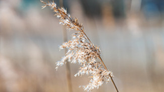 В Астрахани в понедельник прогнозируется потепление 