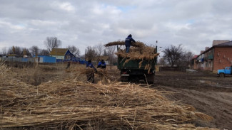 Под Астраханью расчистили ерик Дунайка
