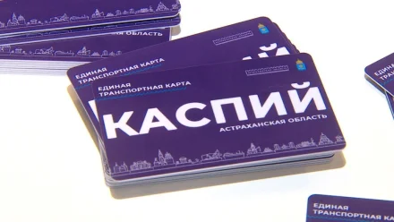 Юные астраханцы могут стать дизайнерами карты «Каспий. Семья»