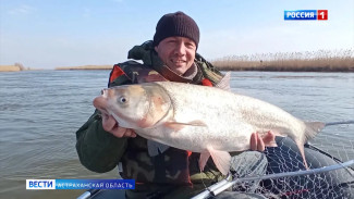 Астраханцы активно продолжают делиться фотографиями своего улова