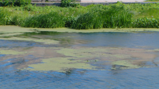 В Астрахани на Стрелке стартовала уборка цветущих водорослей