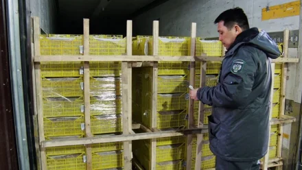 В Астраханской области пресекли незаконный ввоз 88 тонн сухофруктов 