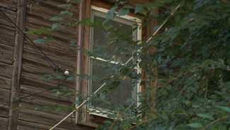 В Астрахани дерево создаёт опасность для жителей дома по улице Чехова