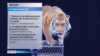 Астраханский государственный цирк вместе с ГТРК "Лотос" запустил творческий конкурс цирковых рисунков