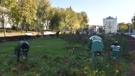 Парки и скверы в Астрахани подготавливают к зиме