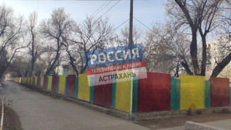 В Астрахани в детсаду на Ляхова опилили деревья по требованию прокуратуры