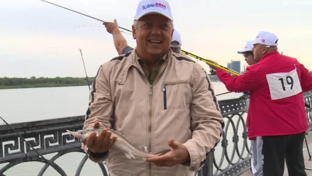 В Астрахани на фестивале “Вобла” пройдёт традиционная экологическая акция 