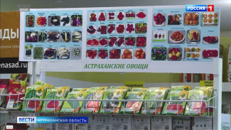 Фермеры Астраханской области активно готовятся к весеннему севу