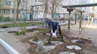 Леонид Огуль помог жителям многоэтажного дома облагородить двор 