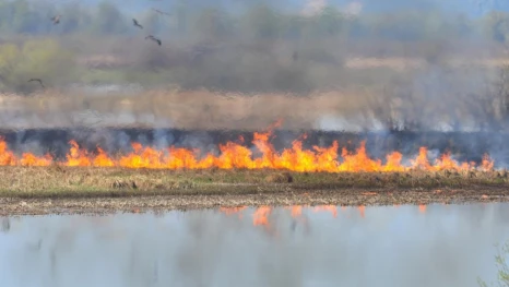 В Астраханской области зафиксировано более 100 ландшафтных пожаров 