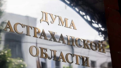 Астраханские молодые парламентарии предложили оплачивать больничный самозанятым