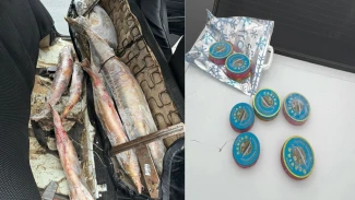 У астраханца нашли осетров и чёрную икру без документов