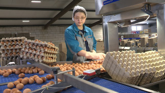 Как изменилась работа птицефабрики в Астраханской области за 50 лет работы