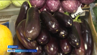 Где сегодня выгоднее покупать продукты в Астрахани