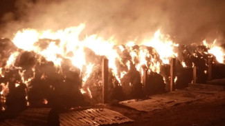 40 тонн сена подожгли неизвестные в Астраханской области