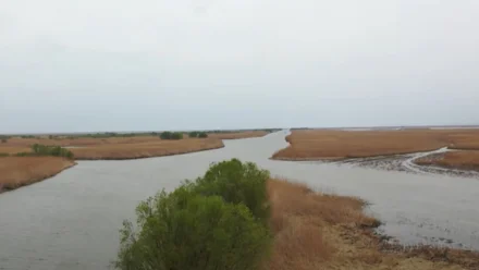 В Астрахани фактический пик половодья ожидается ниже планируемого