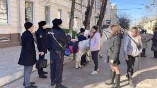 В Астрахани борются с незаконным катанием на лошадях