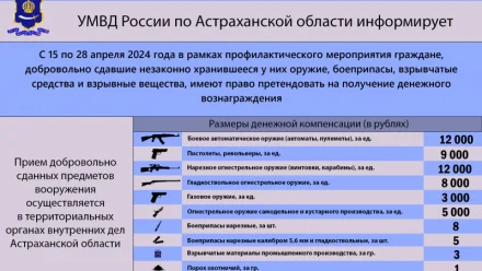 Полиция предложила астраханцам сдать незаконно хранящееся у них оружие 